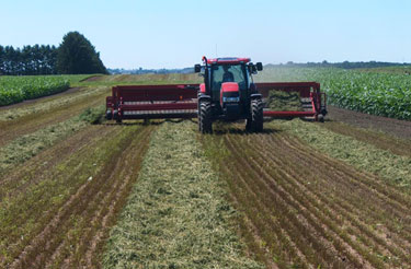 machinery harvesting alfalfa