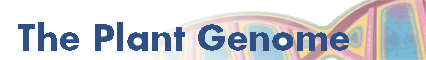 tpg banner