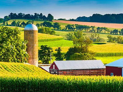 Pastoral farm setting