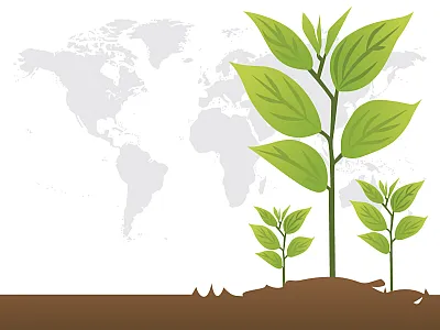 Global agronomy special session set for CANVAS 2026